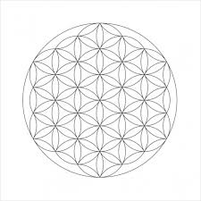 (perfect for adults with memory problems or alzheimer's) find we have 86 flower coloring pages to choose from. Free 19 Flower Coloring Pages In Pdf Ai