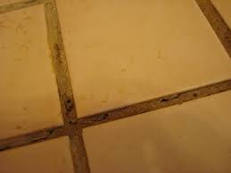 Now, you do not need to worry about sticky floors since we have already provided you with the most relevant information about why and how to. What Is The Best Way To Repair And Prevent Cracking Grout In A Shower Stall Home Improvement Stack Exchange