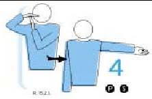 Reglamento De Voleibol