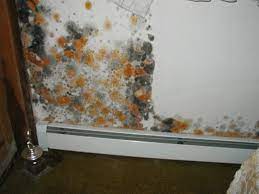 In these cases, you'll need to replace the humid air with fresh air. Basement Solutions Mold Remediation Tips And Services On The Job With Basement Solutions