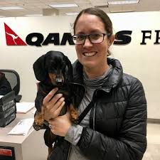 While importing your pet dog to australia, the pet owner must state the breed of the dog and sign a declaration stating that your dog is not an ineligible breed. Bringing A Dog To Australia My Experience Travelnuity