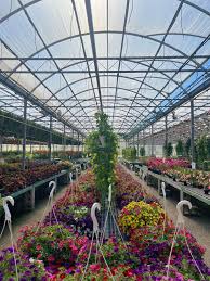 Special Surprise! All...