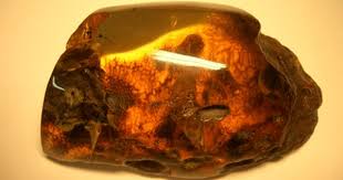 Amber Idee Cadeau Cute Gift Idea Http Gabyfeeriefr Tumblr Com Archive Amber Stone Amber Gemstone Minerals And Gemstones