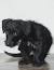 Full Grown Jack Russell Poodle Mix