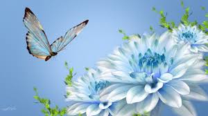 Beautiful birds and flowers wallpapers. 106 Beautiful Butterflies And Flowers