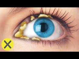 Check spelling or type a new query. Xpresstv Biografia Edad Y Ciudad