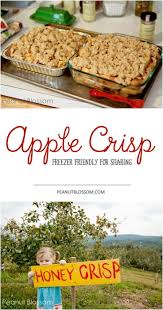 This Freezer Friendly Easy Apple Crisp Will Change Your Fall Baking Forever Recipe Apple Crisp Easy Apple Crisp Easy Apple Crisp Recipe