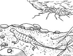 Select from 35429 printable coloring pages of cartoons, animals, nature, bible and many more. Lizard In The Desert Coloring Pages Download Print Online Coloring Pages For Free Color Nimbus
