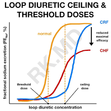 Image result for Loop Diuretic