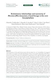 Image result for Lophiocarpus tenuissimus