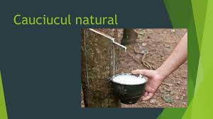 Check spelling or type a new query. Snb Did You Know That È™tiai CÄƒ Biblioteca Alexandru Donici