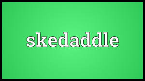 (informal, intransitive, us) to move or run away quickly. Kiingo S Writing Thesaurus Skedaddle