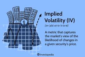 How Implied Volatility (IV) Works With Options and Examples
