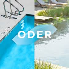 Swimmingpool Oder Badeteich Vorteile Und Nachteile Blauteich De