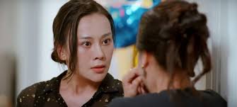 Doan Quoc Dam's role causes controversy