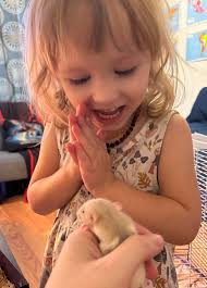 Almost to their new family. Love them❤️