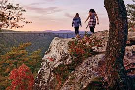 Image result for Mountain Brown 1934 Fleet