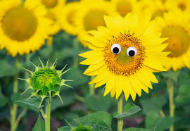 Humor: 10 funny Mother's Day poems to read while you wait for that brunch table