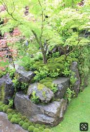 Does Anyone Know How This Moss Effect Was Created Gardening Garden Diy Home Flowers Roses Natu Japanese Garden Landscape Japanese Garden Rockery Garden