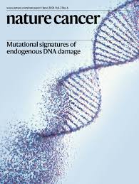 This can result in tumors, damage to the immune system, and other impairment that can be fatal. Sisnaersejbmrm