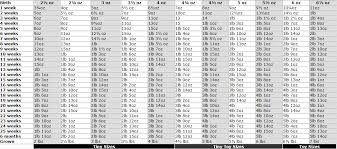 Pomeranian Puppy Size Chart Www Bedowntowndaytona Com