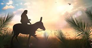 Image result for images Jesus Entered Jerusalem on a Donkey