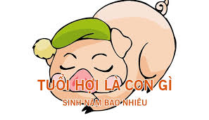 Bạn đang thắc mắc năm 2020 có nhuận không? Tuá»•i Há»£i La Con Gi NgÆ°á»i Tuá»•i Há»£i Sinh NÄƒm Bao Nhieu Giáº£i Ma Cuá»™c Sá»'ng