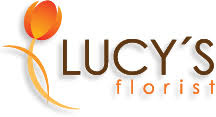 Babalus by lucy discount code : Lucy S Florist Coupon Codes Up To 5 Off Lucy S Florist Coupon Codes Available