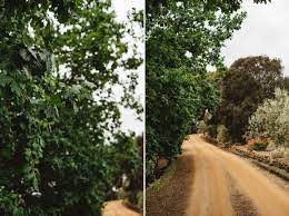 Tasmania Wedding Photographer Josh Omar Pooley Wines Wedding Wine Wedding Mexican Themed Weddings Wines