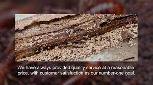 Since 1991, us termite & moisture control has been a trusted name when it comes to pest control services. Pest Control Company In Central Illinois Exterminator