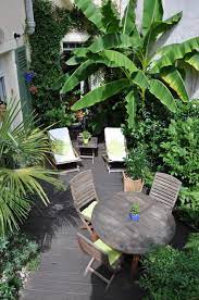 terrasse tropicale et jardin de soleil a cote de paris jardin de style de style tropical par taffin jardin tropical petits jardins tropicaux idees de patio