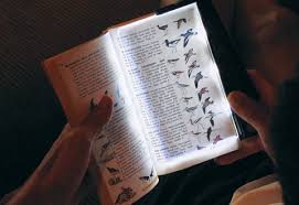 5 Awesome Presents For Book Nerds Indie Quarter