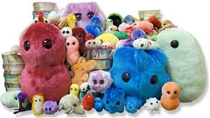 In addition to just simply killing everyone and wiping out humanity (which will unlock the worm food achievement) . Plague Inc Neurax Worm Brutal