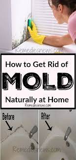 How To Get Rid Of Mold Naturally At Home Try This Home Remedies To Remove Black Mold And Wildew On The Wall Bas Get Rid Of Mold Remove Black Mold Clean