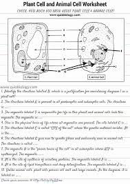 We did not find results for: 15 Plant And Animal Cells Worksheet