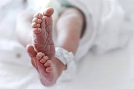 Gosiame broke cicce's record who gave birth to nine babies last month. Yowe0zywq5nahm