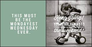 Five fun facts and funny marriage trivia. 65 Happy Wednesday Quotes And Images To Celebrate Hump Day