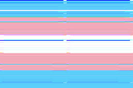 When your flag design is complete, you can quickly format it to use anywhere you like, from a social media post to a banner. Glitch Aesthetic Pride Flags Album On Imgur