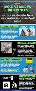 Mold toxicity can be a devious stealer of health. Mold Vs Mildew What Are The Differences Plus Black Mold Health Risks And More