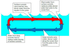 the sun and convection currents texas