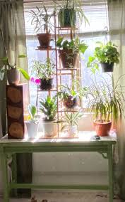 These air plant holders are made from untreated wood. 19 Plant Products With Review Photos That Ll Make You Want To Grow Something