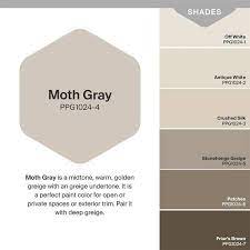 Glidden 8 Oz Ppg1024 4 Moth Gray Satin Interior Paint Sample