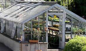Diana 5000 esg 3mm alu gewächshaus vitavia treibhaus garten gemüse 1 dachfenster. Gewachshaus Typen Unterschied Zum Treibhaus