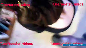 @dickflash_tvs video Tweet