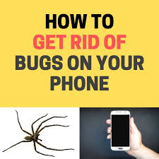 See more of tiny bugs on facebook. How To Get Rid Of Bugs Crawling On Your Phone Screen Bugwiz