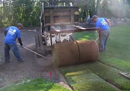 A look at the most popular landscaping trees for residential landscaping projects. Landscape Installation And Design By Roger Cook Of This Old House K R Landscape