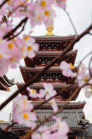 Sakura 【櫻】 3 the japanese surnames etymology dictionary. 60 Most Popular Japanese Last Names Thought Catalog