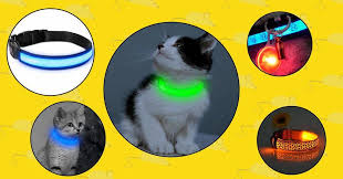A wide variety of collar camera cat options are available to you, such as special features, sensor, and style. Top 5 Best Cat Led Collars In 2021 Technomeow