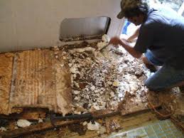 Rotten Wood And Styrofoam Removed Camper Flooring Camper Trailers Camper Repair