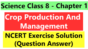 Learn vocabulary, terms and more with flashcards, games and other study tools. Science Class 8 Chapter 1 Crop Production And Management Ncert Exercise Solutions